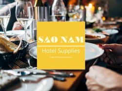 Công ty TNHH Thiết bị Sao Nam