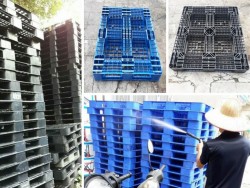 Pallet nhựa thanh lý TPHCM