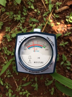 Bút đo ph đất và độ ẩm đất giá rẻ