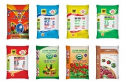 Các lưu ý khi làm bao bì sản xuất