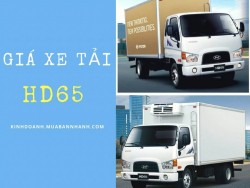 Giá xe tải HD65