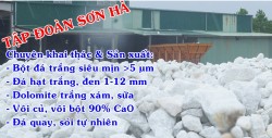 Công ty TNHH Đầu tư Phát triển Quốc tế Sơn Hà