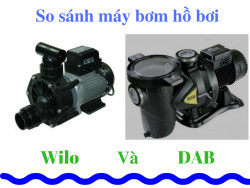 So sánh máy bơm hồ bơi DAB và Wilo
