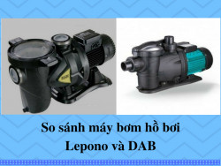 So sánh máy bơm hồ bơi DAB và Lepono