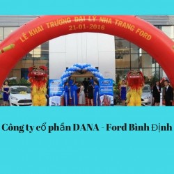 Công ty cổ phần DANA - Ford Bình Định