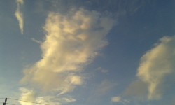 5 bài học để hạnh phúc hơn