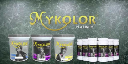 Tìm mua sơn nước Mykolor ở đâu chính hãng?