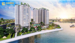 Chính sách bán hàng dự án căn hộ chung cư Conic Riverside Tạ Quang Bửu quận 8