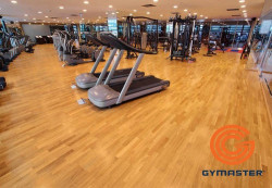 Các loại sàn thường được sử dụng trong phòng Gym