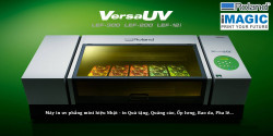 Máy in UV - in ốp lưng, quà tặng, inox, nhựa, kính, pha lê, gỗ - Roland VersaUV LEF200/ LEF300
