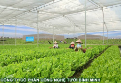 Chọn mua nhà lưới nông nghiệp, nhà lưới nhà kính, nhà lưới trồng rau, nhà lưới nhà màng uy tín quận Cầu Giấy, TP Hà Nội