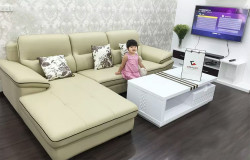 Mua ghế sofa gỗ hay ghế sofa nệm cho phòng khách gia đình?