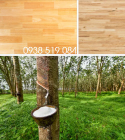Gỗ cao su giá kho - nội thất gỗ cây cao su giá sỉ Quảng Ngãi