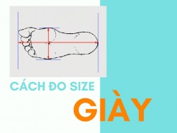 Cách đo size giày