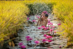 Những món ăn mang thương hiệu miền tây