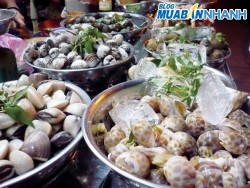 Mẹo giữ lâu ốc, hến, sò, trai