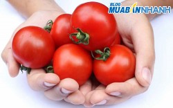 Mẹo lựa chọn cà chua ngon