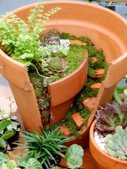 Cách gắn đồ gỗ, sành sứ bị vỡ