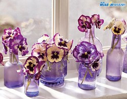 Cách làm sạch đồ thủy tinh