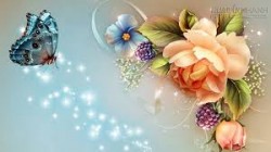 Em xin lỗi, em yêu anh, mãi mãi...