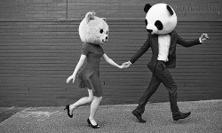 Yêu anh là ngoại lệ một đời của em