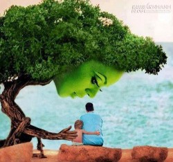 Những hình ảnh khiến bạn thêm yêu quý và thêm trân trọng gia đình của mình