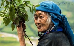 Bà mẹ quê, ngày tháng không ao ước gì