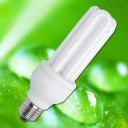 [Mẹo] Dùng đèn compact tiết kiệm điện cho gia đình