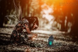 Nếu em nói rằng “em thương anh”, liệu anh có tin là em nói thật?