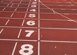 Ai là người thắng cuộc?