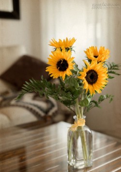 Mỗi ngày là một ngày đặc biệt