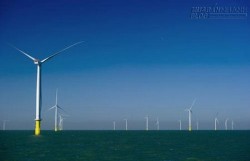 Cách tôi chọn lối vào đời...