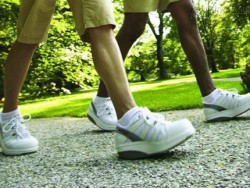 Đừng nhân danh những điều không có thật!