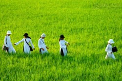 Biết đủ là đủ