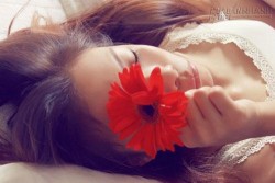 Viết cho những ngày đong đầy nỗi nhớ…