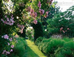 Ăn sáng trong vườn