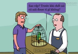 Lời hấp hối của vẹt