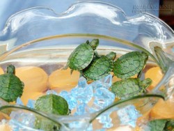 Đồ phong thủy may mắn, cát tường