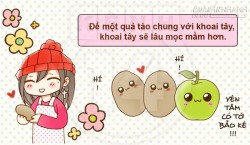 Bỏ túi những mẹo vặt cần kíp từ khoai tây