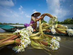 Thương về Miền Tây