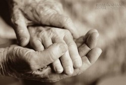 Người chồng yêu đơn phương vợ suốt 50 năm