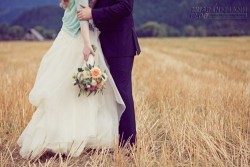 Em muốn có tên trong gia phả nhà anh không?