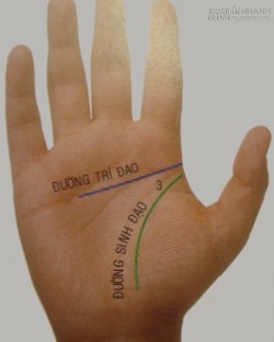 Xem bói chỉ tay đường trí đạo của bạn