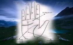 Xem bói tay,bàn tay người có khả năng sáng tạo