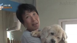 Câu chuyện cảm động về người phụ nữ một thân một mình nhận nuôi 400 chú chó