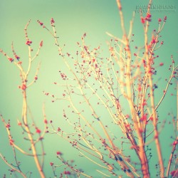 Khi một cánh cửa đóng lại, cánh cửa khác sẽ mở ra