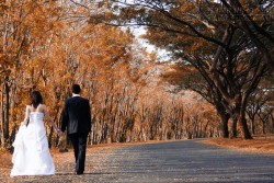 Anh không cần em nguyên vẹn, chỉ cần em lành lặn