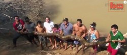 Colombia Kinh hoàng phát hiện trăn khổng lồ bò vào nhà tìm thức ăn