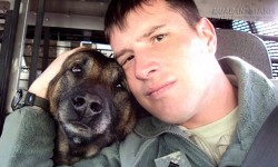 Cảm động 10 con vật dũng cảm từng xả thân cứu người