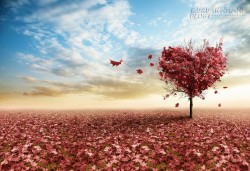 HÃY TRÂN TRỌNG NHỮNG GÌ MÌNH ĐANG CÓ